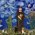 St. Francis Pet Portrait on a Starry Night