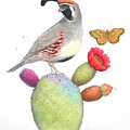 Quail Whimsey