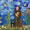 St. Francis Java and Evie