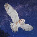 Starry Barn Owl
